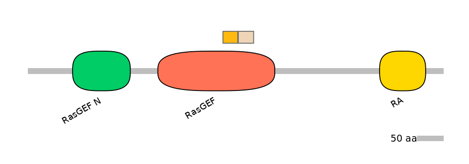 RnoINT0126440-EXC