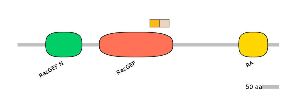 RnoINT0126441-EXC