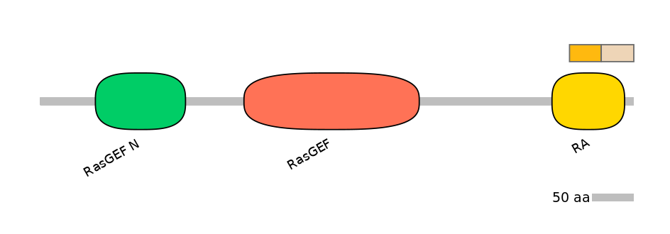 RnoINT0126481-EXC
