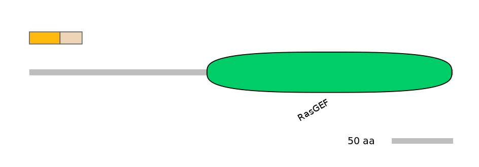RnoINT0126482-EXC