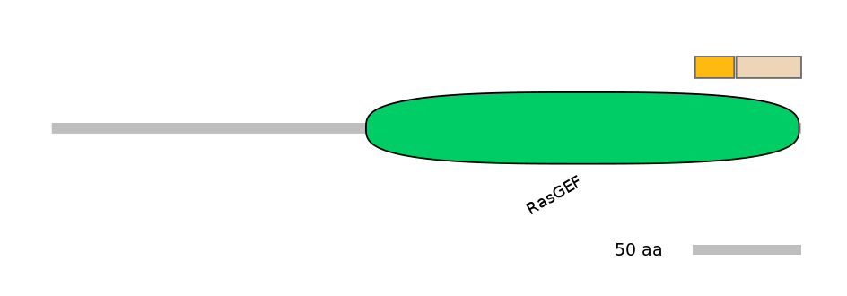 RnoINT0126489-EXC