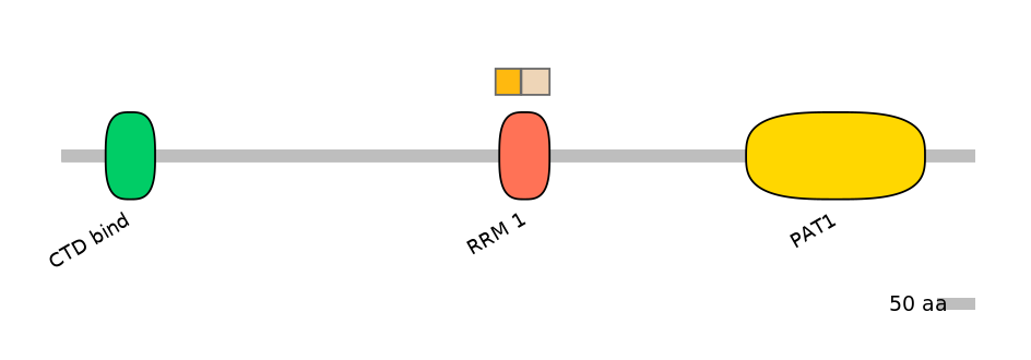 RnoINT0131061-EXC