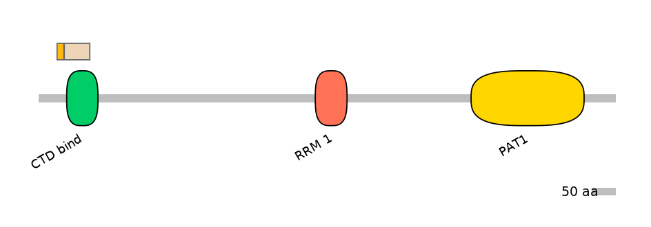 RnoINT0131071-EXC