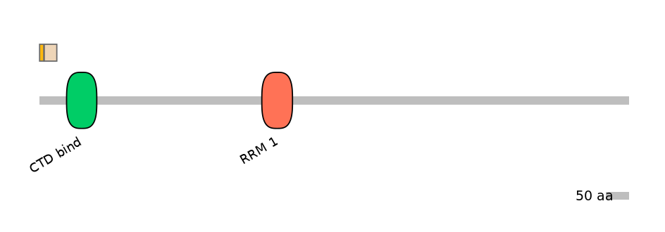 RnoINT0131076-EXC