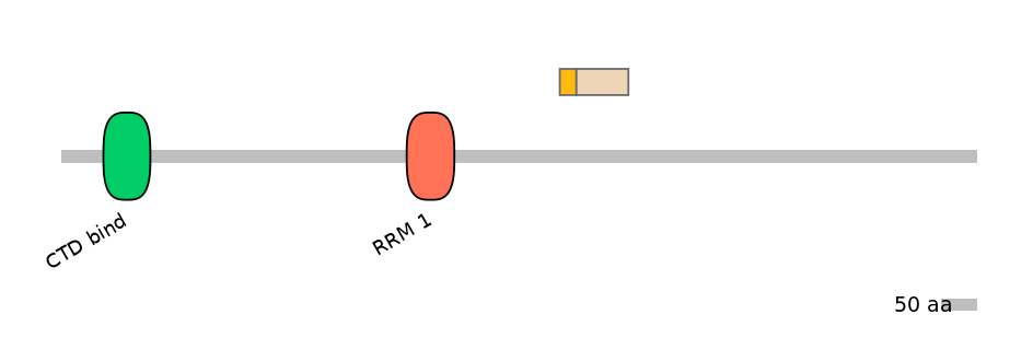 RnoINT0131085-EXC