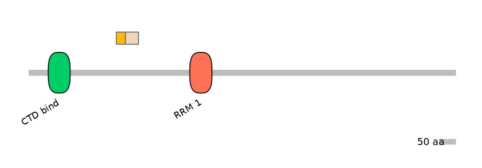 RnoINT0131093-EXC