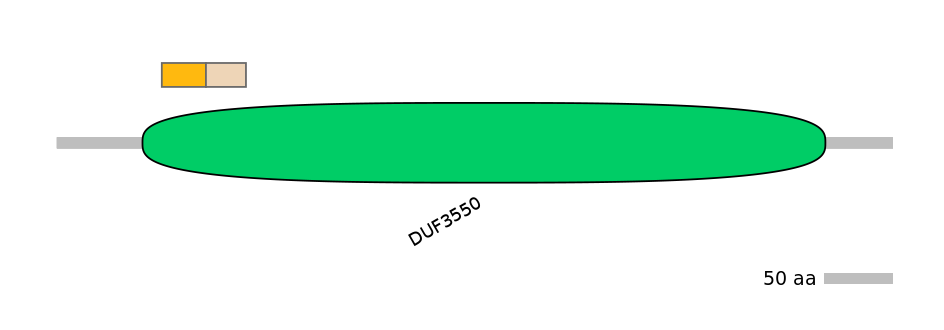 RnoINT0131106-EXC