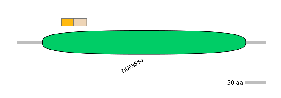 RnoINT0131107-EXC