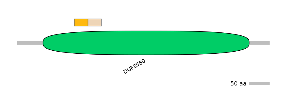 RnoINT0131108-EXC