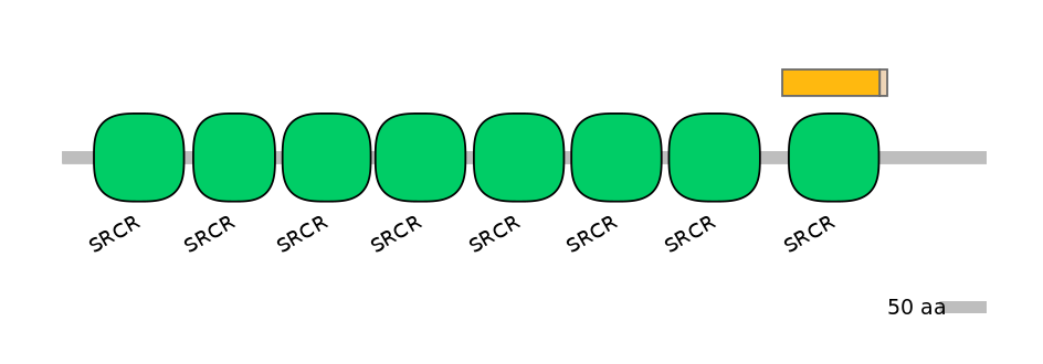 RnoINT0131248-EXC