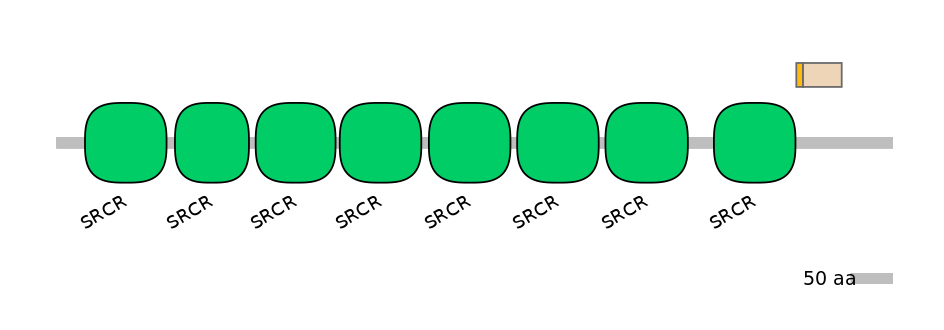 RnoINT0131249-EXC