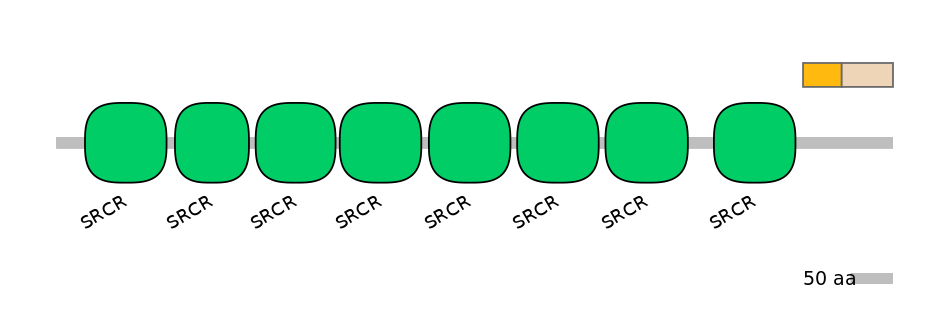RnoINT0131250-EXC