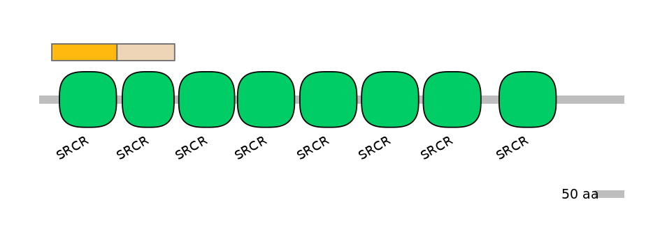 RnoINT0131251-EXC