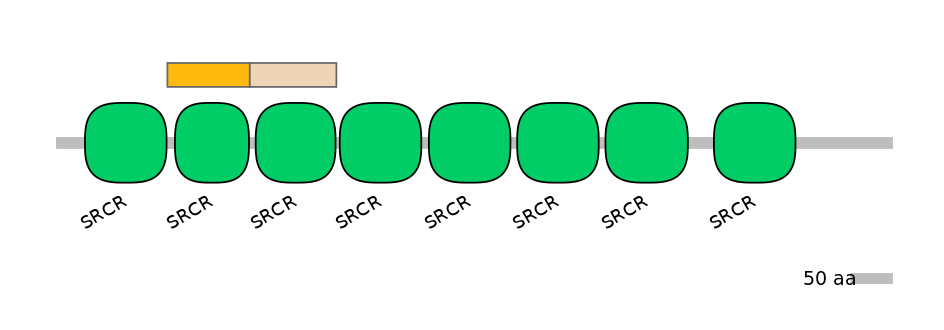 RnoINT0131252-EXC