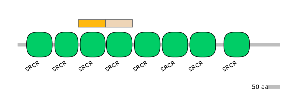 RnoINT0131253-EXC