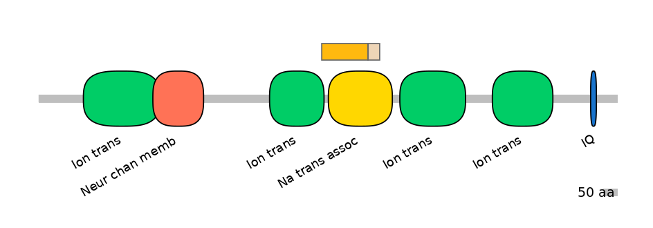 RnoINT0131529-EXC