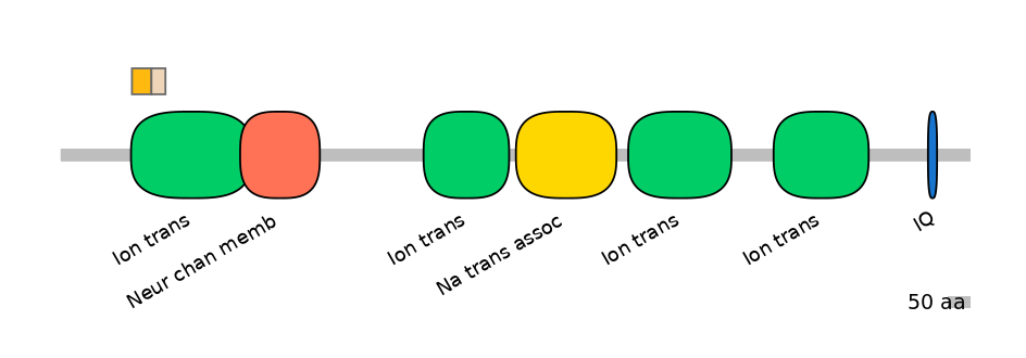 RnoINT0131535-EXC