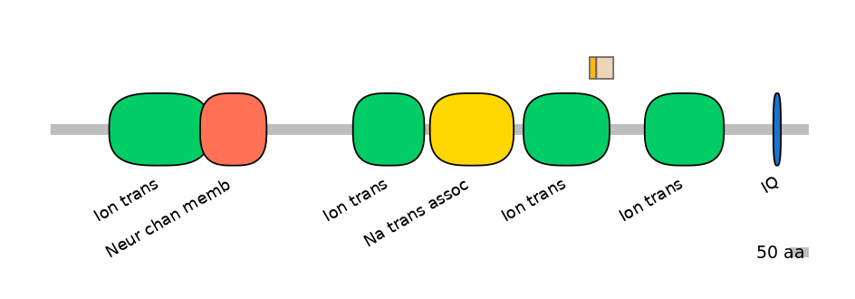 RnoINT0131536-EXC