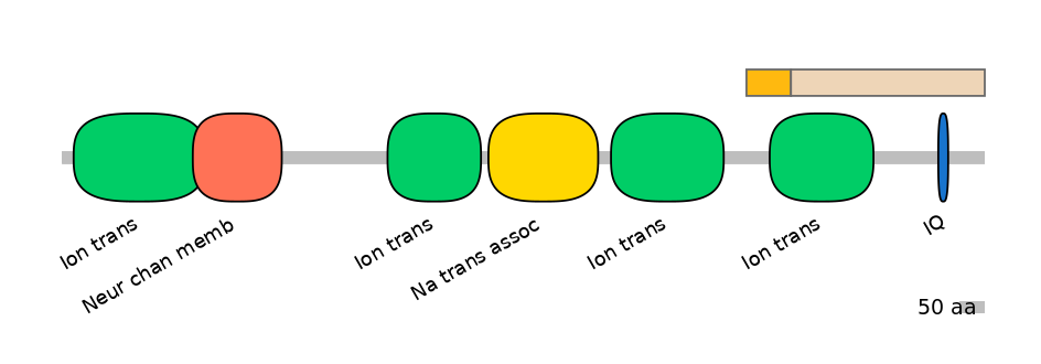 RnoINT0131538-EXC