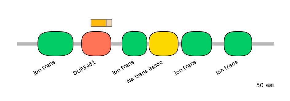RnoINT0131554-EXC