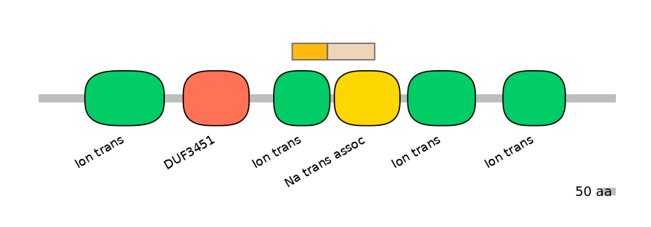 RnoINT0131558-EXC