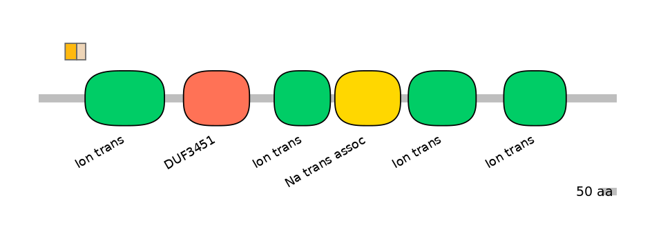 RnoINT0131563-EXC