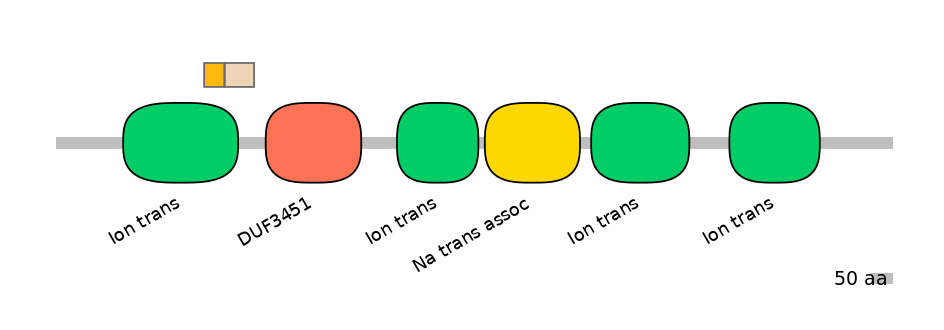 RnoINT0131575-EXC