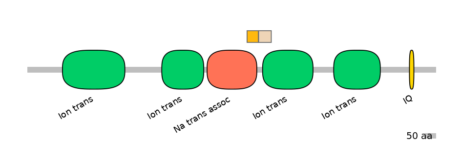 RnoINT0131618-EXC