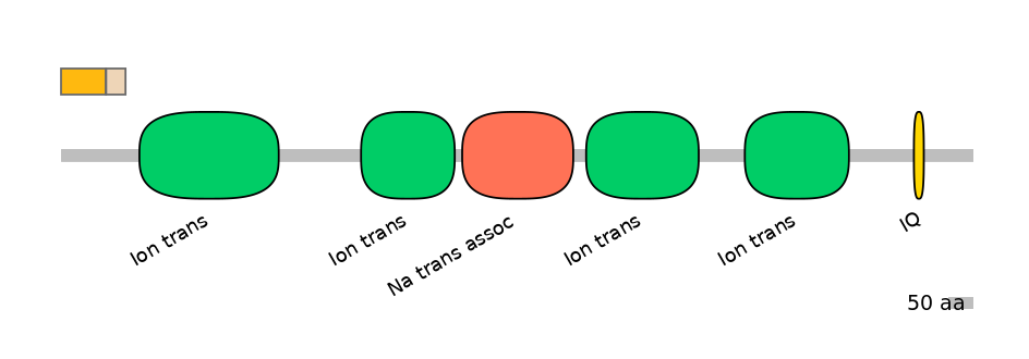 RnoINT0131621-EXC
