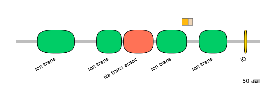 RnoINT0131624-EXC