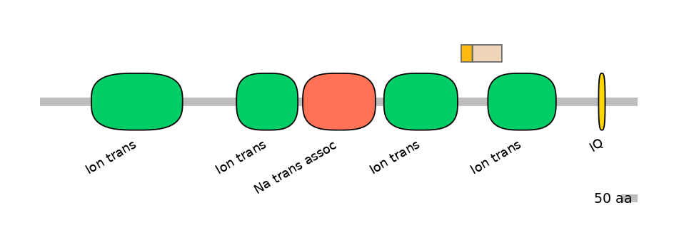 RnoINT0131625-EXC