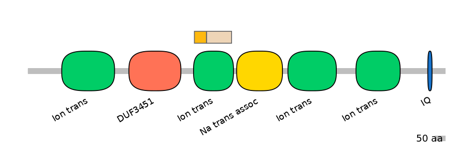 RnoINT0131693-EXC