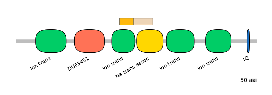 RnoINT0131694-EXC