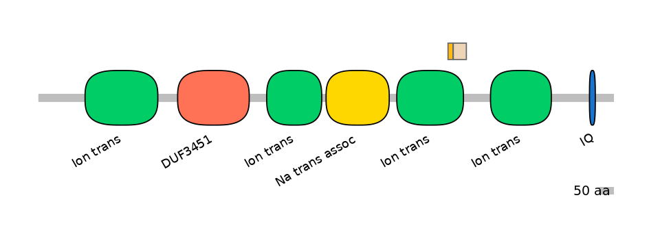 RnoINT0131702-EXC