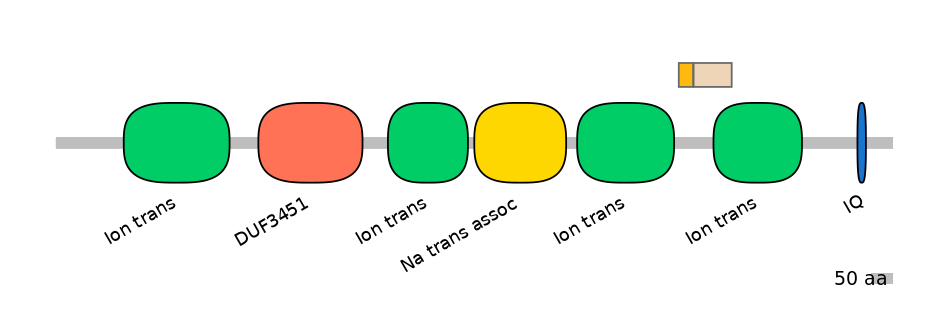 RnoINT0131704-EXC