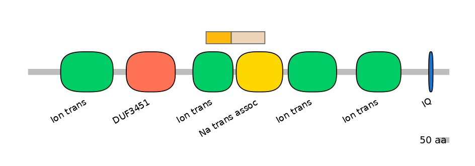 RnoINT0131720-EXC