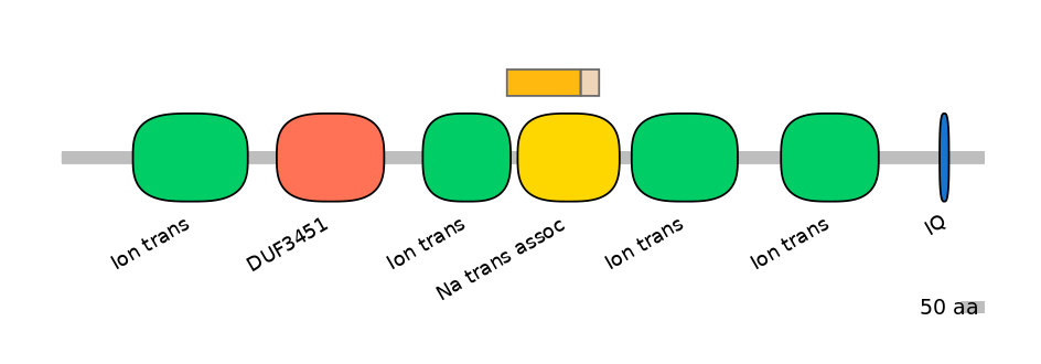RnoINT0131721-EXC