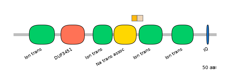 RnoINT0131723-EXC