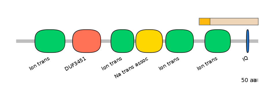 RnoINT0131730-EXC