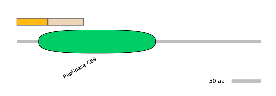 RnoINT0131853-EXC