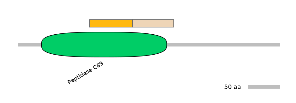 RnoINT0131855-EXC
