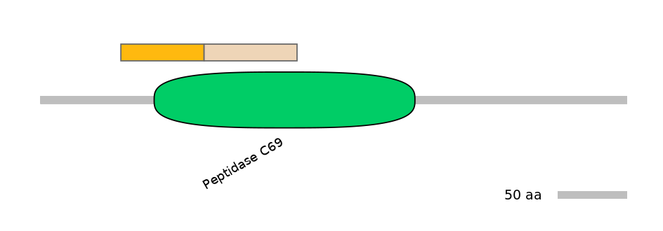 RnoINT0131861-EXC