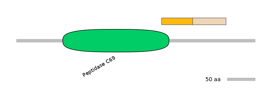 RnoINT0131864-EXC