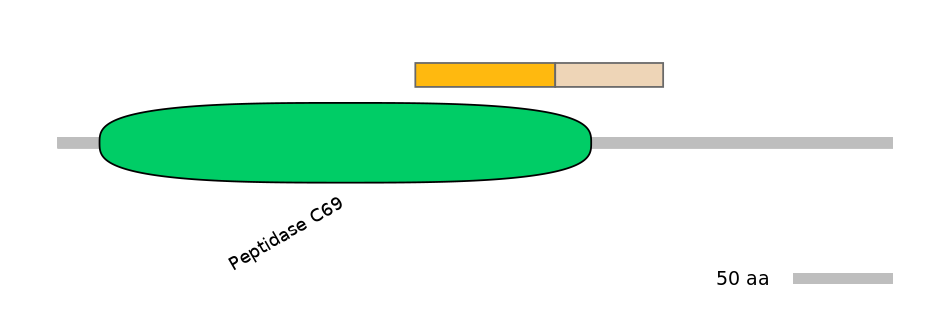 RnoINT0131870-EXC
