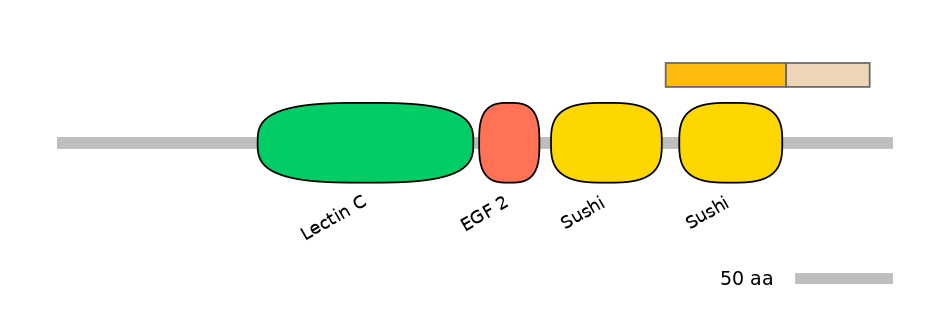RnoINT0132775-EXC