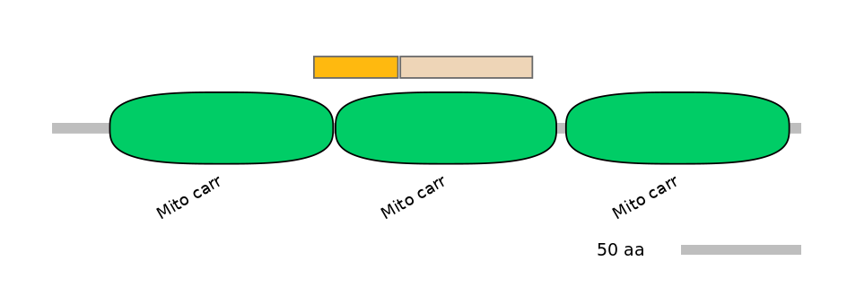 RnoINT0137046-EXC