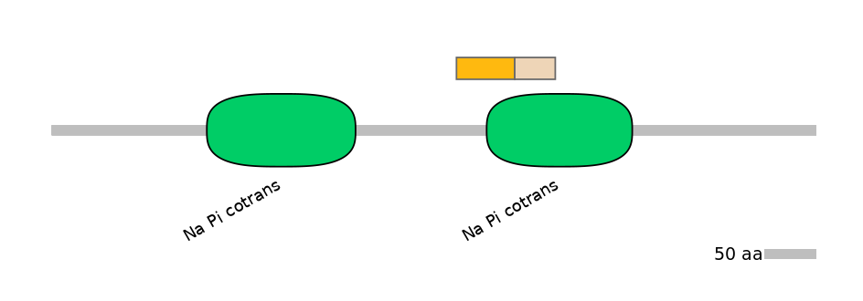 RnoINT0137610-EXC