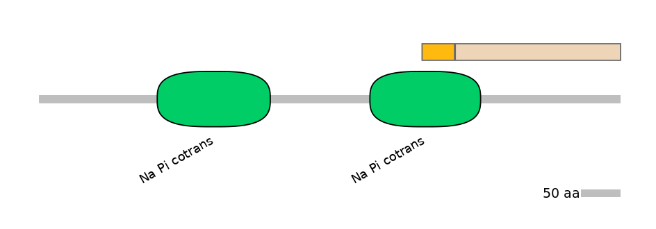 RnoINT0137612-EXC