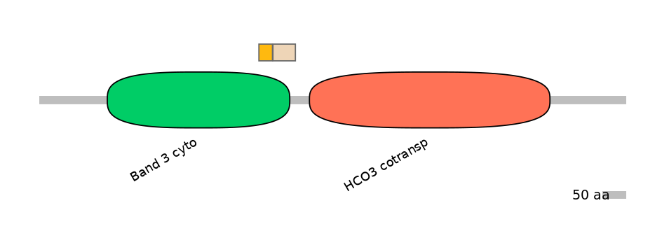 RnoINT0138542-EXC