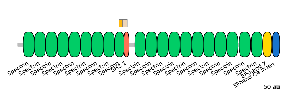 RnoINT0142949-EXC